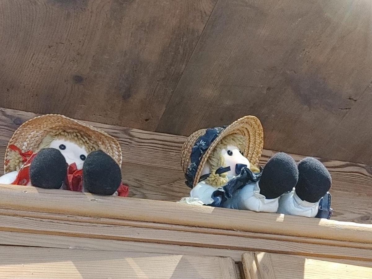 B&B A Ceda Toa San Pietro di Cadore Bagian luar foto