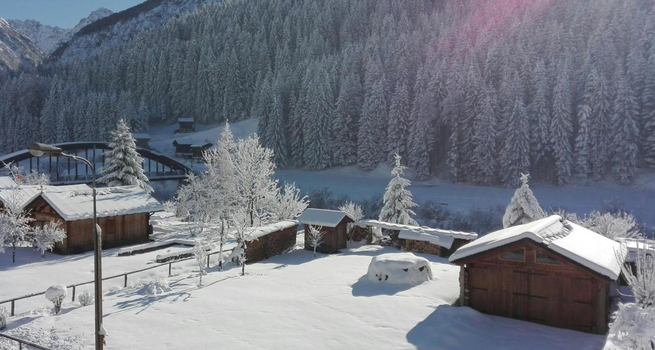 B&B A Ceda Toa San Pietro di Cadore Bagian luar foto